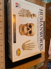 NIP Eyewittness Kits Humanworks 18" Human Skeleton