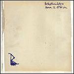 Babyshambles - Down In Albion - Cd