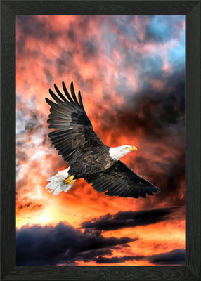 Adler gerahmtes Wandbild Poster Leinwanddruck Bild