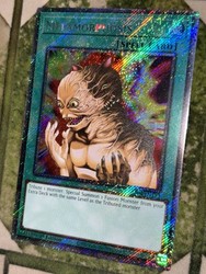 Metamorphosis RA04-EN123 Platinum Secret Rare 1st Edition Quarter Century Stampede