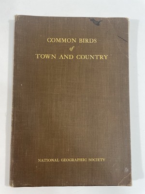 Common Birds of Town and Country National Geographic Society c1915 HC