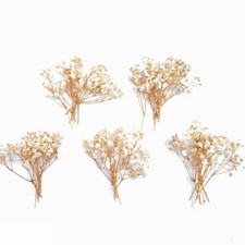 50PCS Mini Dried Baby's Breath Ivory Gypsophila for Wedding Crafts Wreath Decor