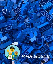 100 Blue LEGO Basic Bricks 2x2 2x3 2x4 - Random Basic Bulk Lot Big