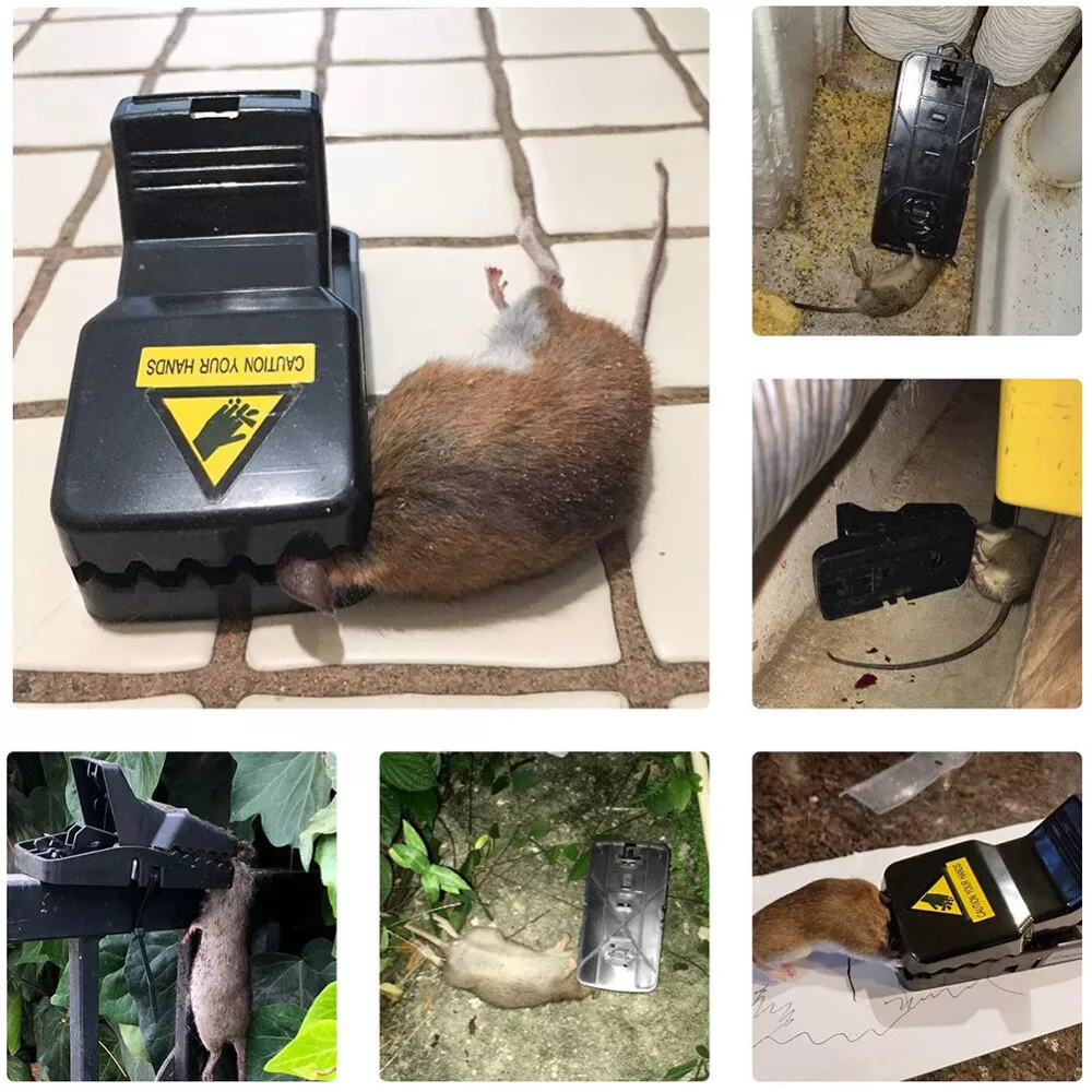 6-Pack Reusable Mouse Traps Rat Trap Rodent Snap Trap Mice Trap Catcher Killer, Size: Small, Black