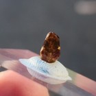 Picture 2 of 4