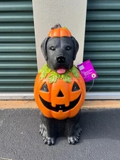 *NEW* 2.5 Ft Black Lab Halloween Dog Blow Mold Ghost LED 2025 Home Depot