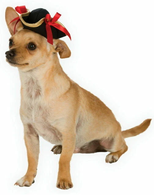 Pirate Costumes for Dogs