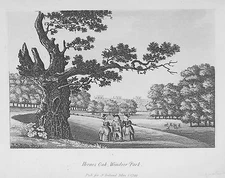 OLD ANTIQUE PRINT WINDSOR PARK HERNES OAK BERKSHIRE c1799 AQUATINT by S IRELAND
