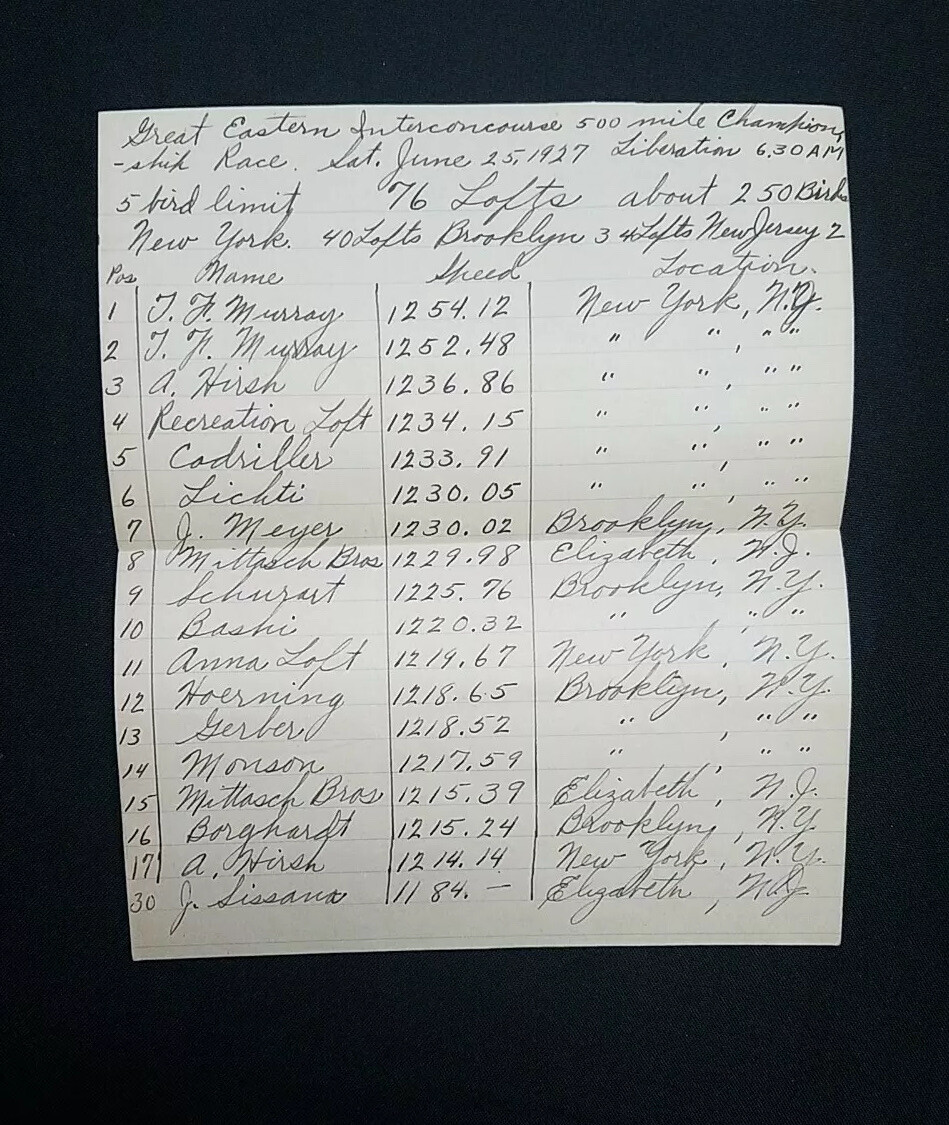 1927 Homing Pigeon Racing Record of Birds - Mittasch | eBay