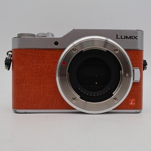 GF 9 Panasonic | eBay