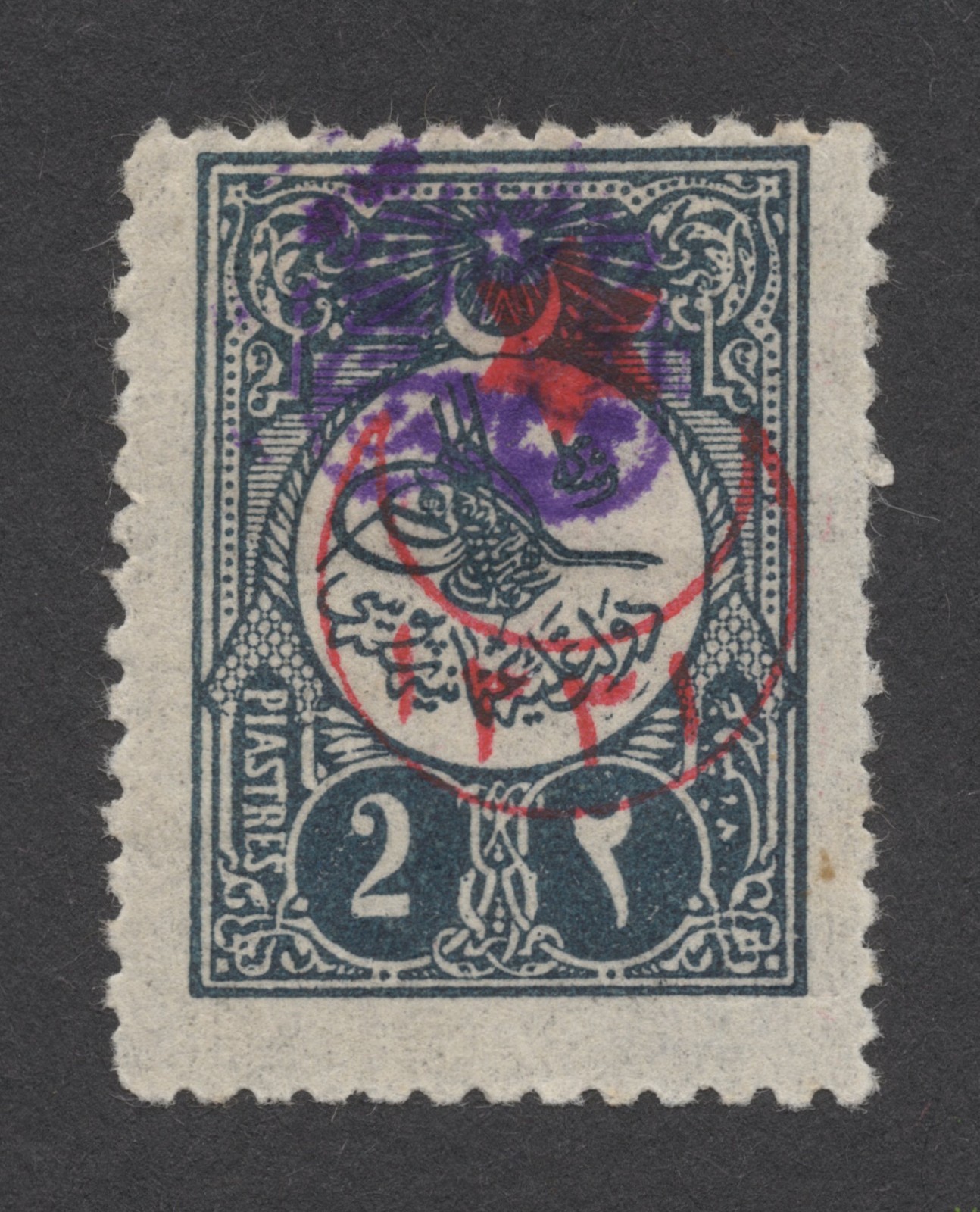 Picture 5 of 24