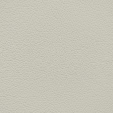 GM Light Wheat Leather Dye