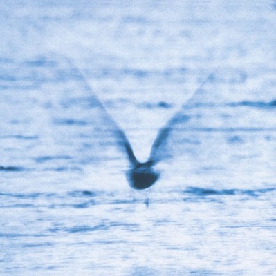Fukui, Ryo - Mellow Dream CD  *NEU*OVP*
