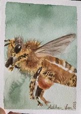 Original watercolor Honeybee, 5.25 x 3.75 inches, small bee painting bumblebee