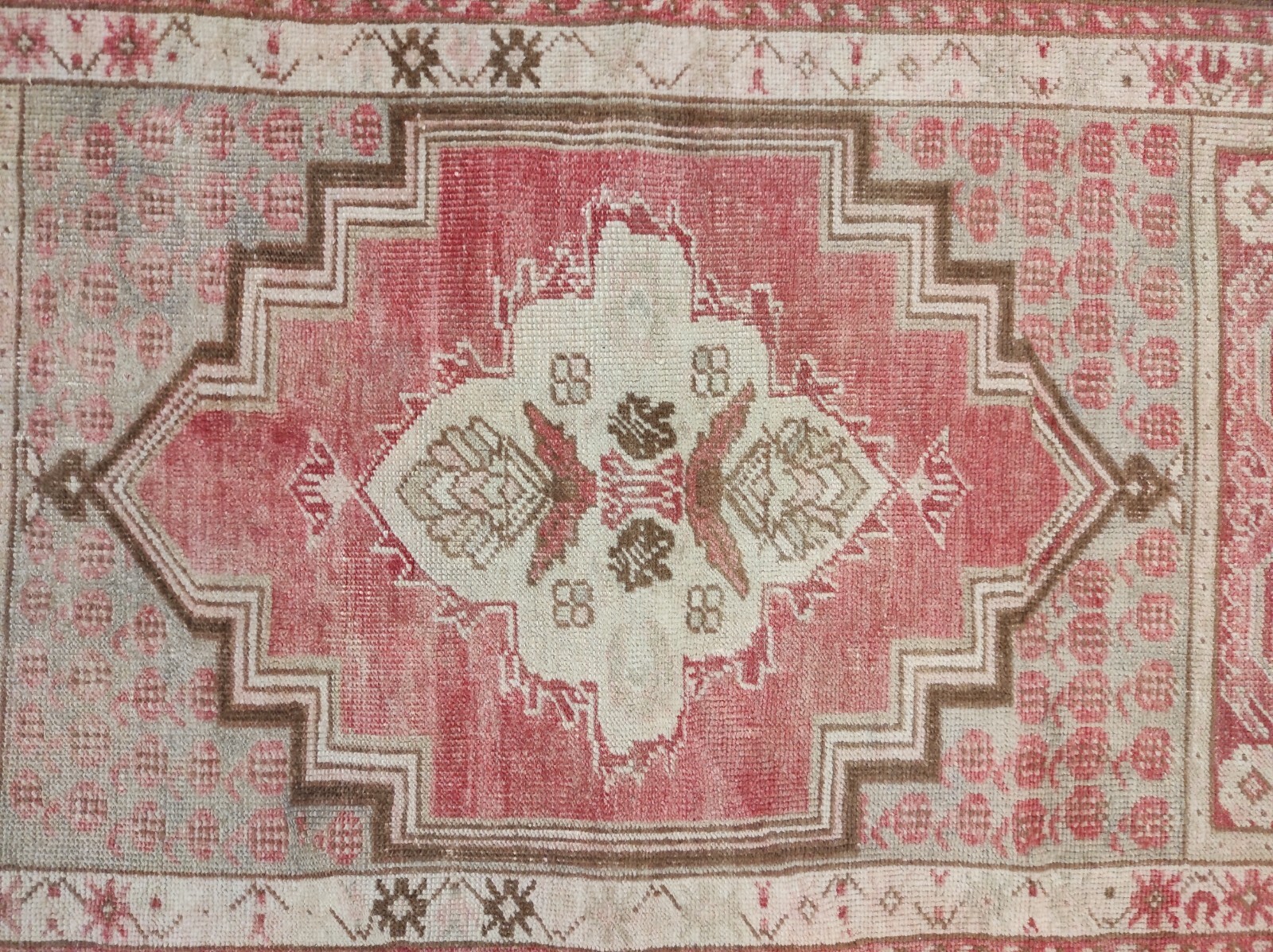 Picture 6 of 10