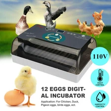 12 Eggs LED Incubator Automatic Turning Muiltiple Chicken Pigeon Duck Hatcher
