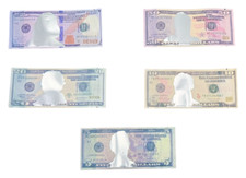 100pc - Dollar Design mylar bags - 3.5 gram