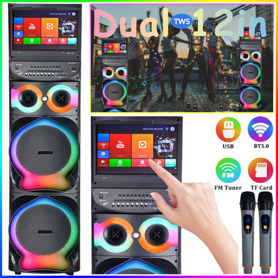 Dual 12'' Karaoke DJ Party Bluetooth Speaker w/15.4'' Touchscreen 2 Wireless Mics