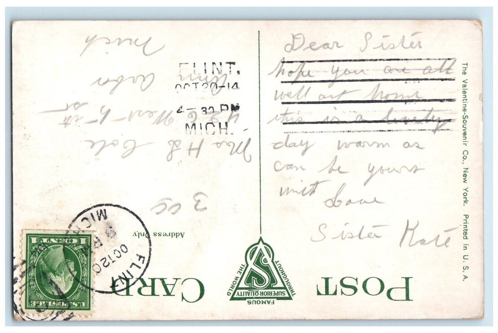 c1910's View Of Hurley Hospital Building Flint Michigan MI Antique Postcard