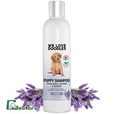 We Love Doodles Best Shampoo For Doodles We Love Doodles Dog