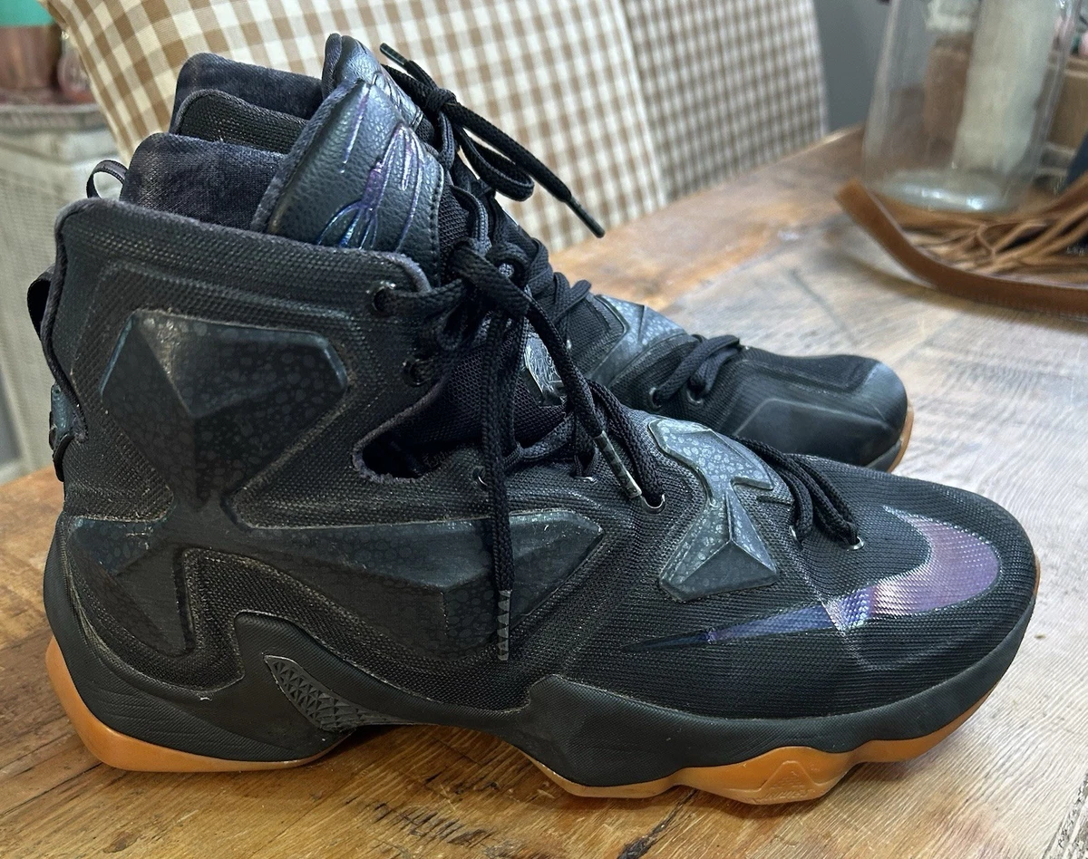 Nike LeBron 13 Black Lion | eBay