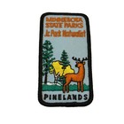 Minnesota State Park Jr Park Naturalist Pinelands patch — photo 1