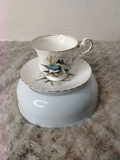 Queen's Fine Bone China Rosina Birds of America Kingfisher Tea Cup & Saucer