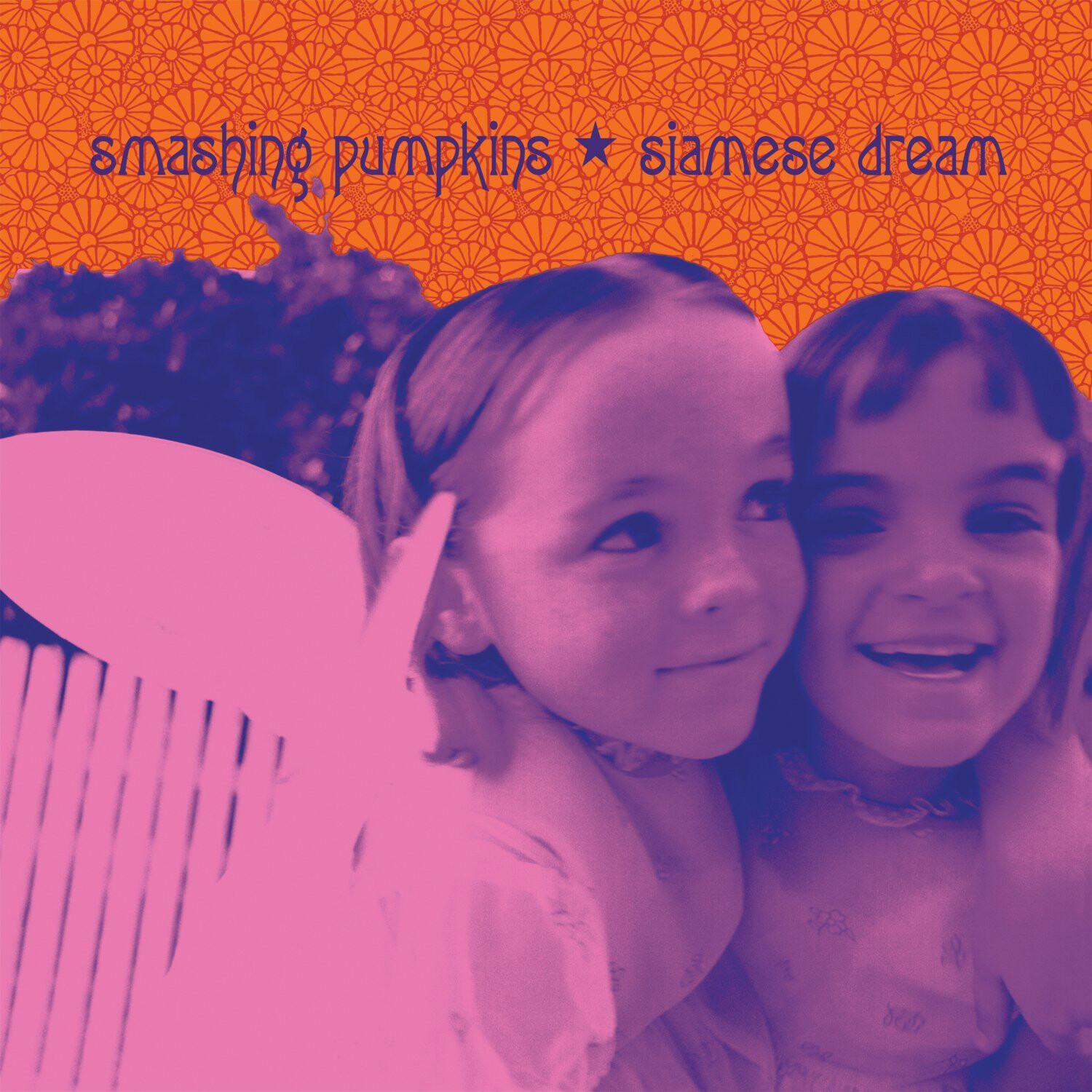 The Smashing Pumpkins Siamese Dream (Vinyl LP) 12" Album