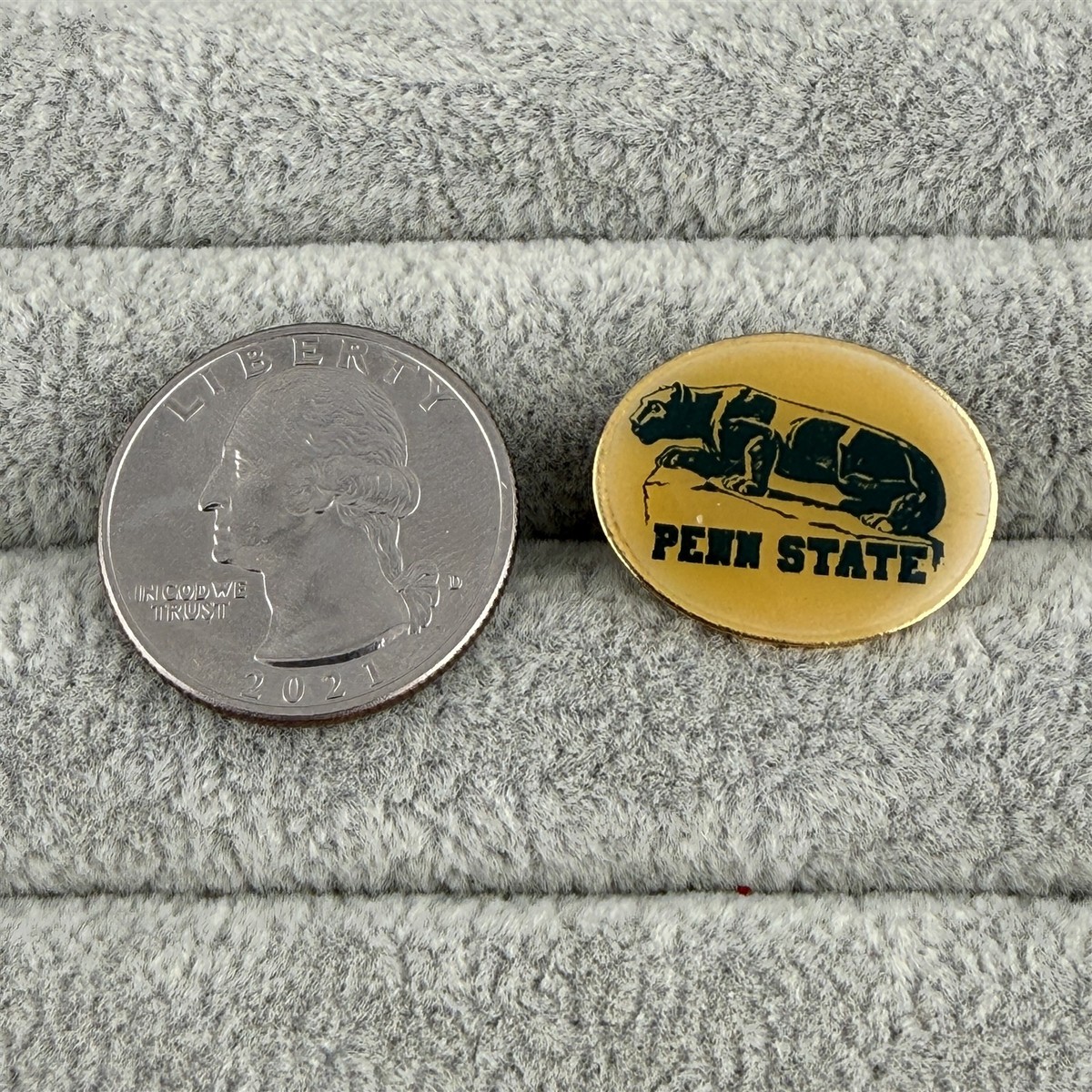Penn State Nittany Lions NCAA Pin Pinback #63486 | eBay