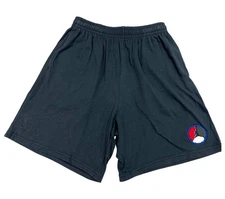 Vintage Nike Air Jordan Jumpman Shorts Spell Out Patch Jordan 8 Size Large