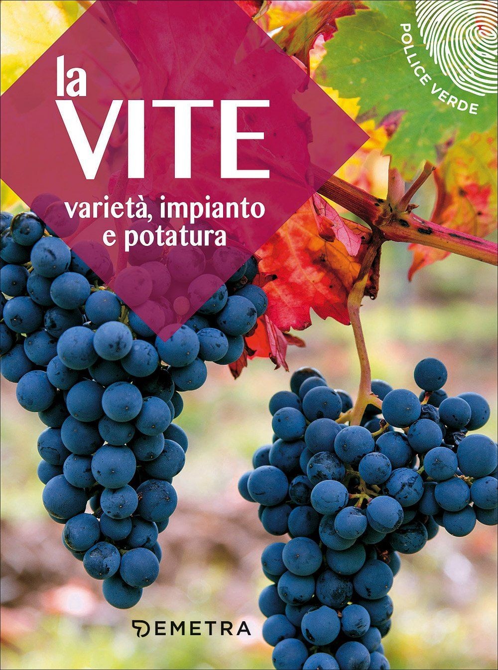 LIBRO LA VITE. VARIETÀ, IMPIANTO E POTATURA - Immagine 2