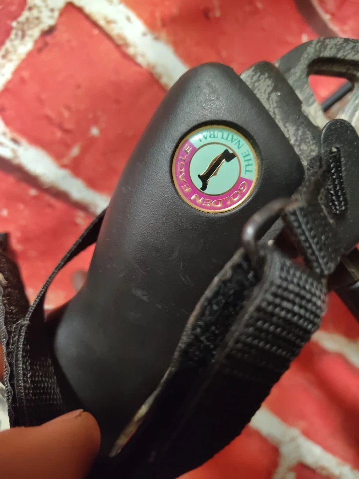 Arco compuesto Golden Eagle The Natural Litespeed 55-70 libras 31 dibujo con flechas Foto 3 de 4