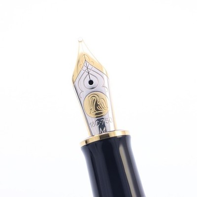 Pelikan Fountain Pen Souverän M800 Blue Stripe M | eBay