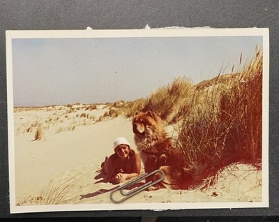 Photo Portrait Young Woman Pet Chow Chow Dog 1960 Borkum Friesland Model Old