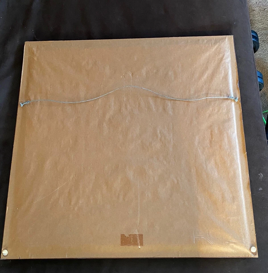 Lily Lona Darning Kit Caja 906 Diseño Cisne 16" X 16" Colgante Pared ENMARCADO Foto 4 de 4