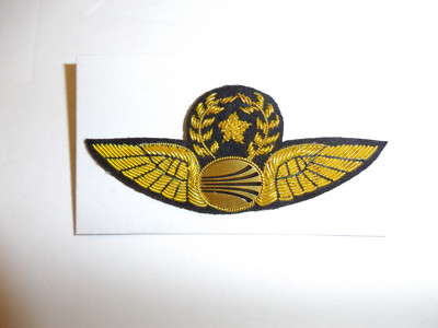 b7324 Continintal logo Air Services Senior Pilot Wing US Air America CIA R13E