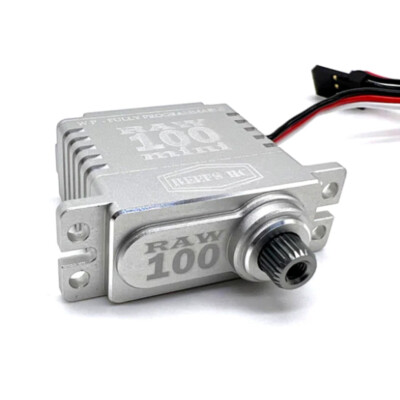Reef's RC REEFS134 RAW 100 High Torque High Speed Mini Coreless Servo Silver
