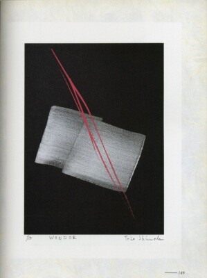 Toko Shinoda Art Book Works Toko Shinoda A New Appreciation Japan