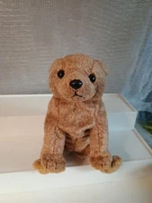 Ty Beanie Baby Pecan The Bear Plush Toy - 4251