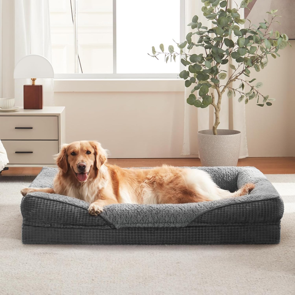 OrthopäDisches Hundebett Xl Mit Memory Foam Rutschfest, Abnehmbar & Waschbar-image