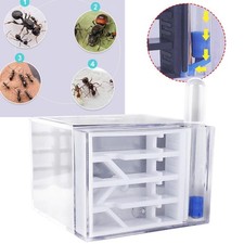ANT Farm ANT Nest Transparent Science Educational Workshop House for Science