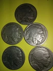 5 Buffalo Nickels 1919D-1923P-1928P-1928S-1929P-Good For The Book FREE SHIPPING
