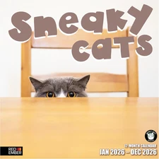 Sneaky Cats 2026 Wall Calendar 12 Month | 12" X 24" Open | Thick & Sturdy Paper