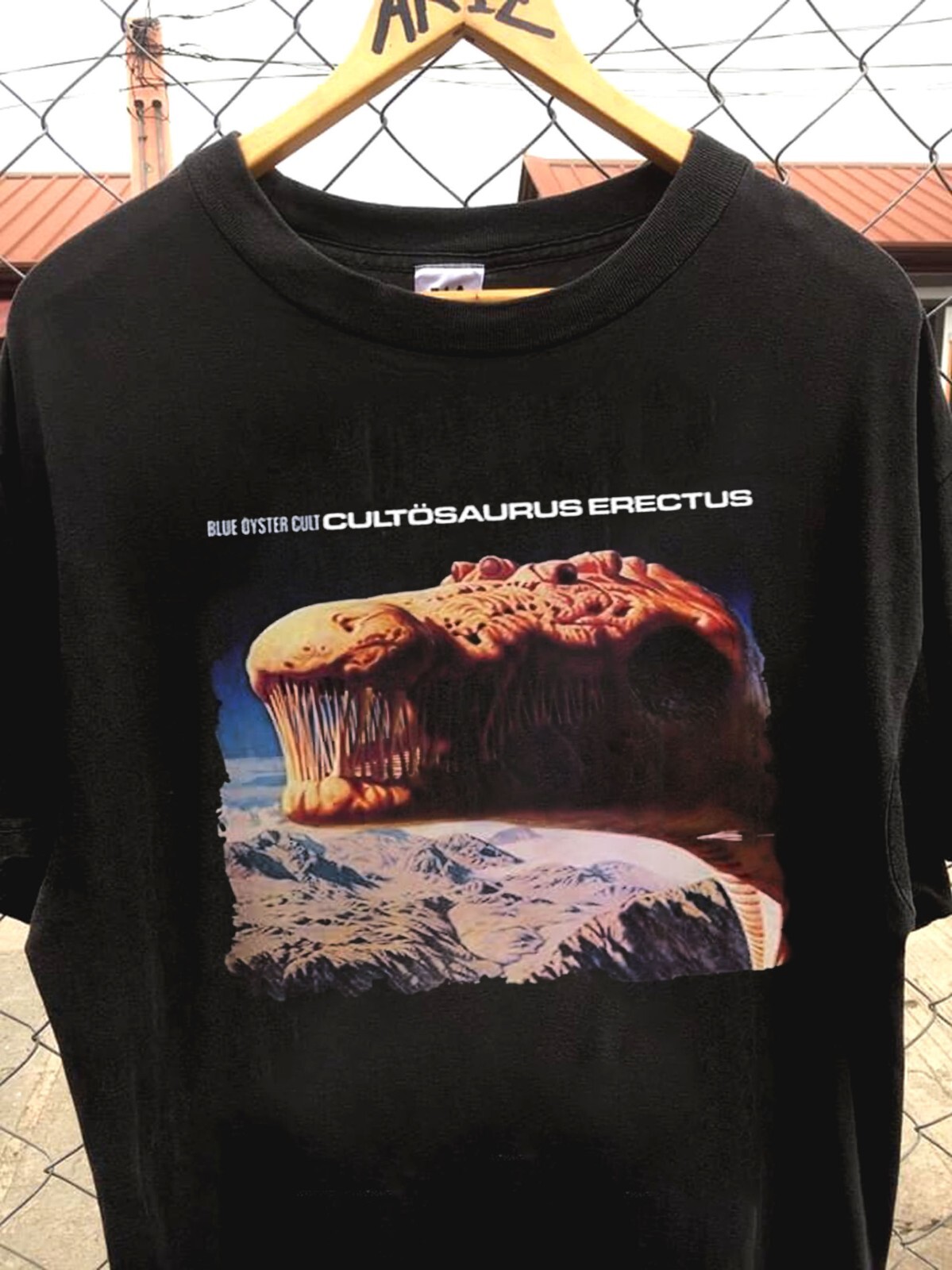 Blue Oyster Cult rock Band t-shirt, classic t-shirt, gift for fan QT143