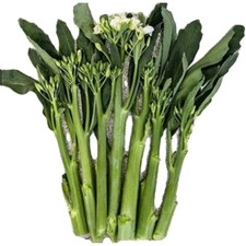 Yod Fah Chinese Broccoli 300 + Seeds Organic Non Gmo