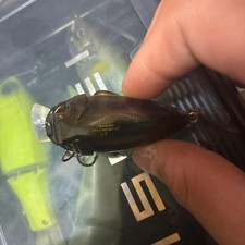 Fishing Lure Crankbait MEGABASSCYCLON SR-X 12g