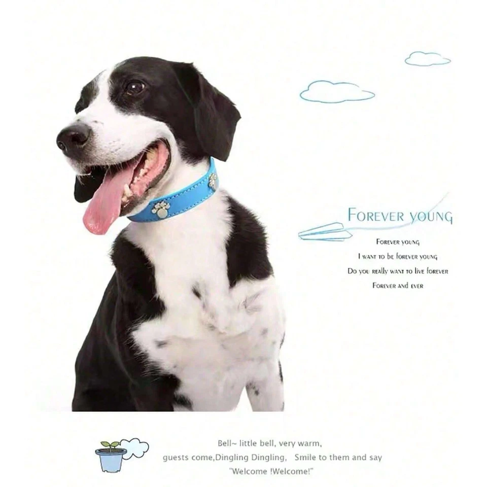 Dog Cat Coller Pu Leather Adjustable Pet Necklace Small Cat Puppy Safety Buckle - Image 2 of 4