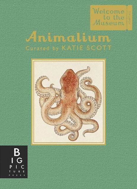 Animalium (Mini Gift Edition) by Jenny Broom (Hardback Book)