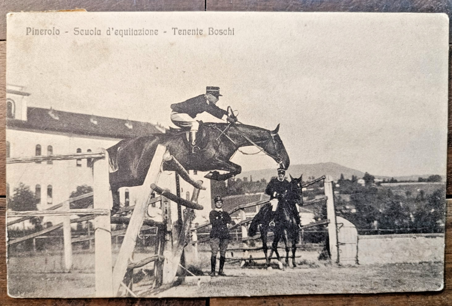1919 Pinerolo in Equitazione-83006
