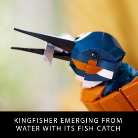 LEGO Icons Kingfisher Bird Model Building Kit 10331 Set for Adults